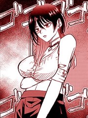 怀孕的少女封面