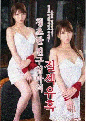少女与她的秘密封面